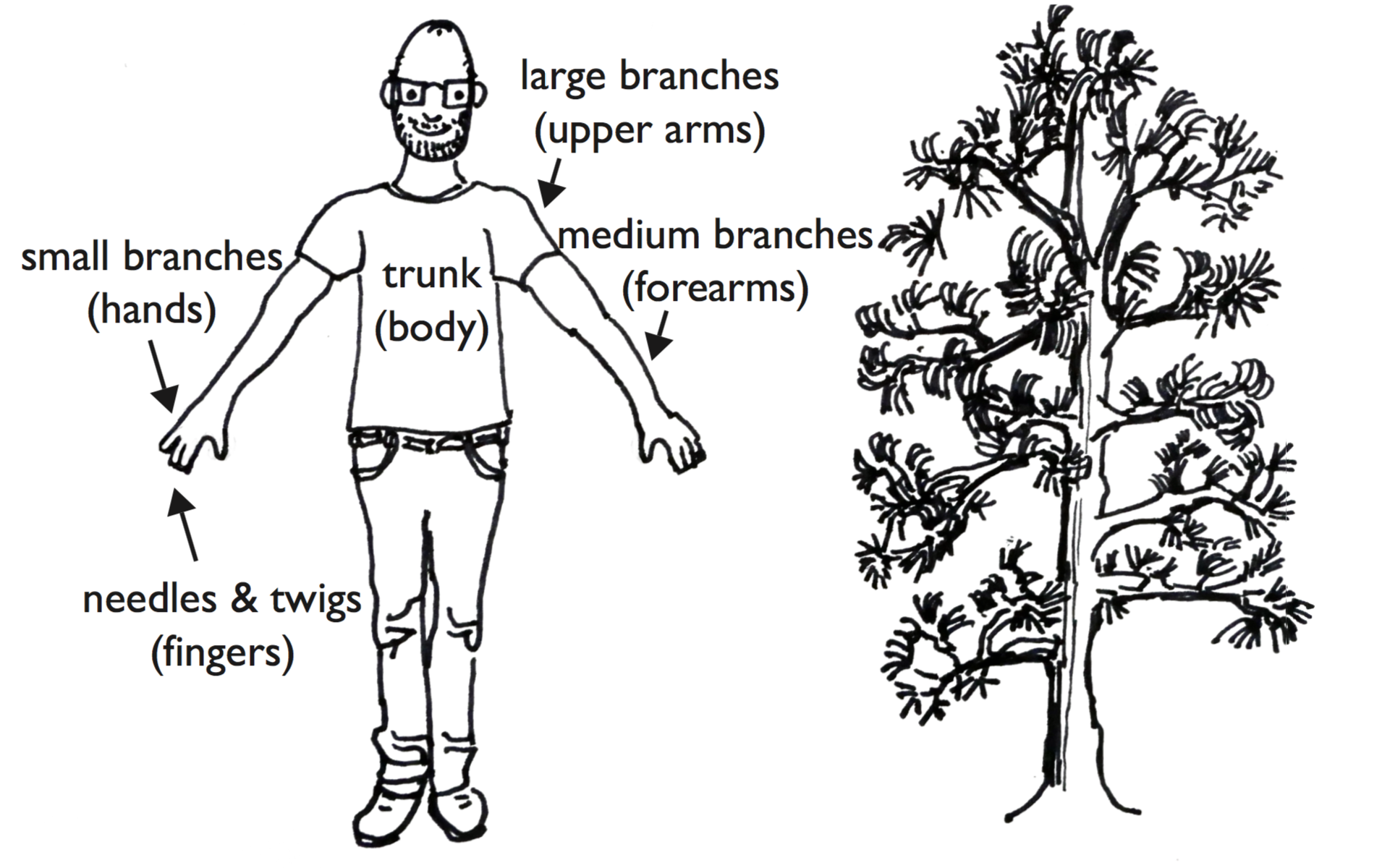 me as a tree
